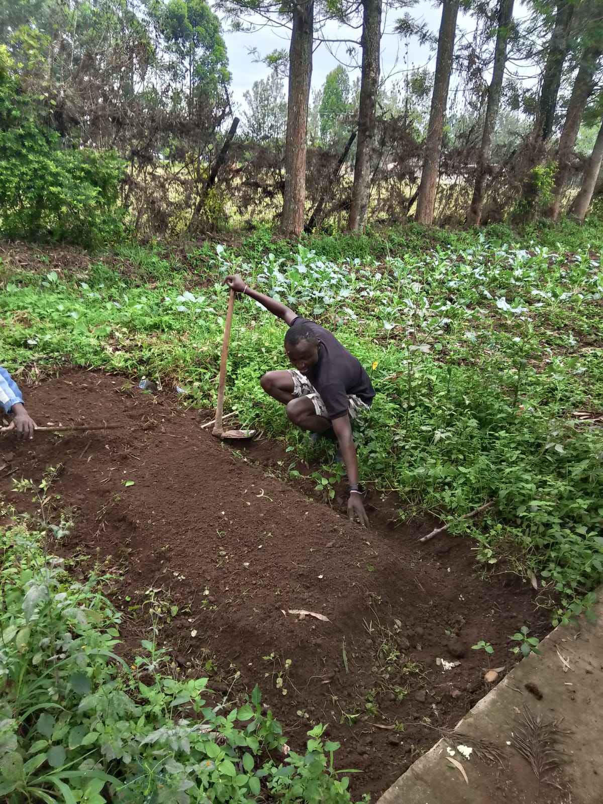 KYGEF Activity 8